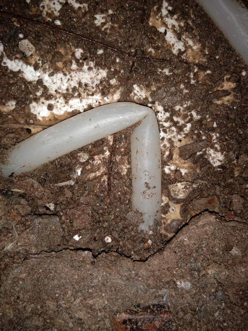 南澳堵点精准查找